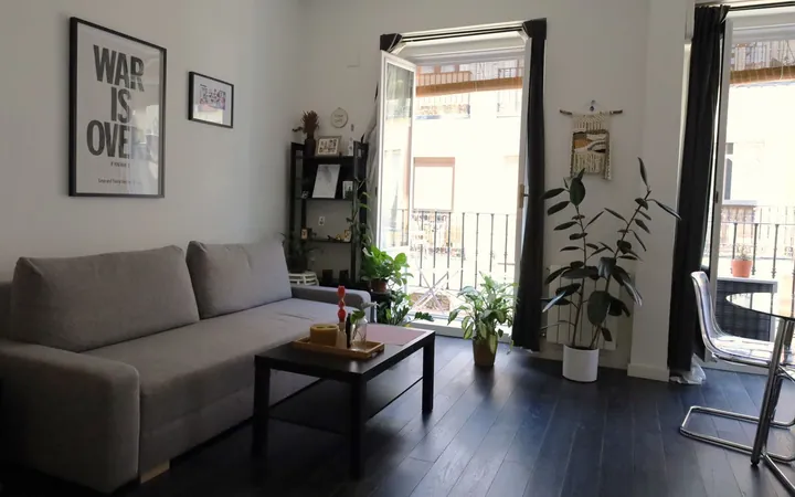 Piso en Calle de la Sombrerería, 8, Lavapiés-Embajadores - Foto 1