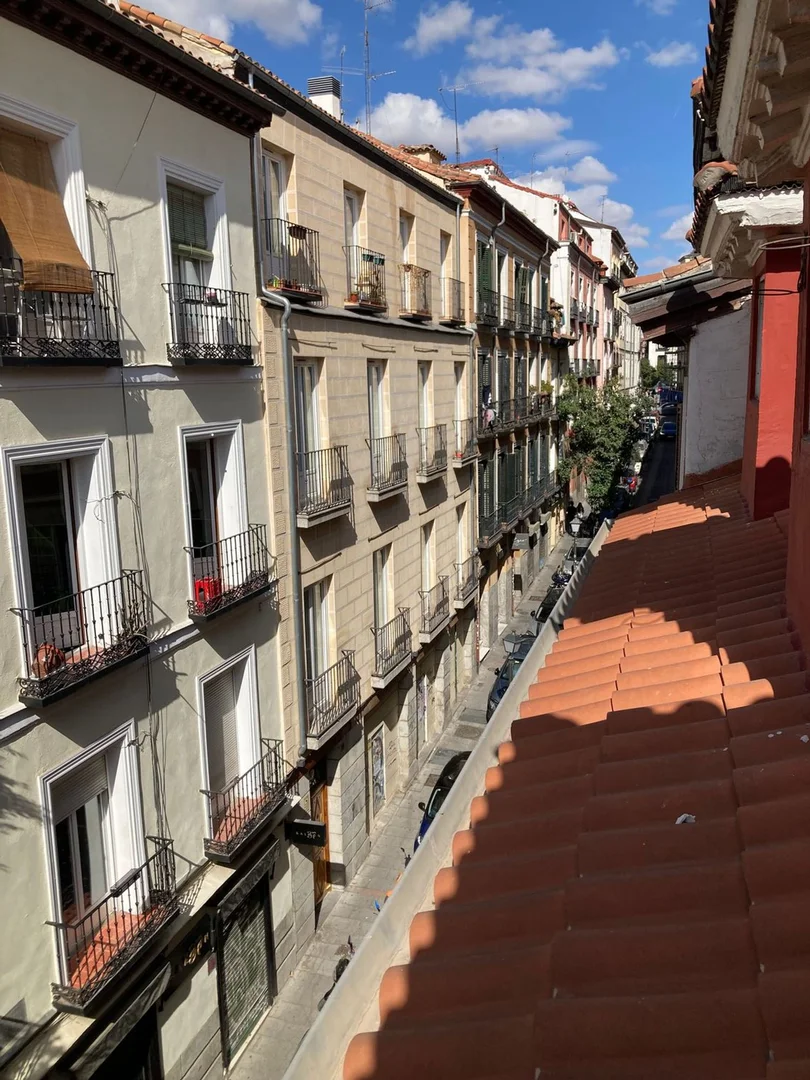 Piso en Barrio Malasaña-Universidad - Foto 30