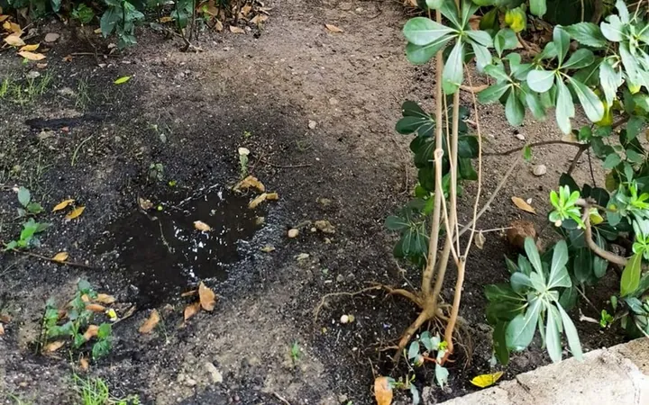 Piso en Canillejas, Canillejas - Foto 16