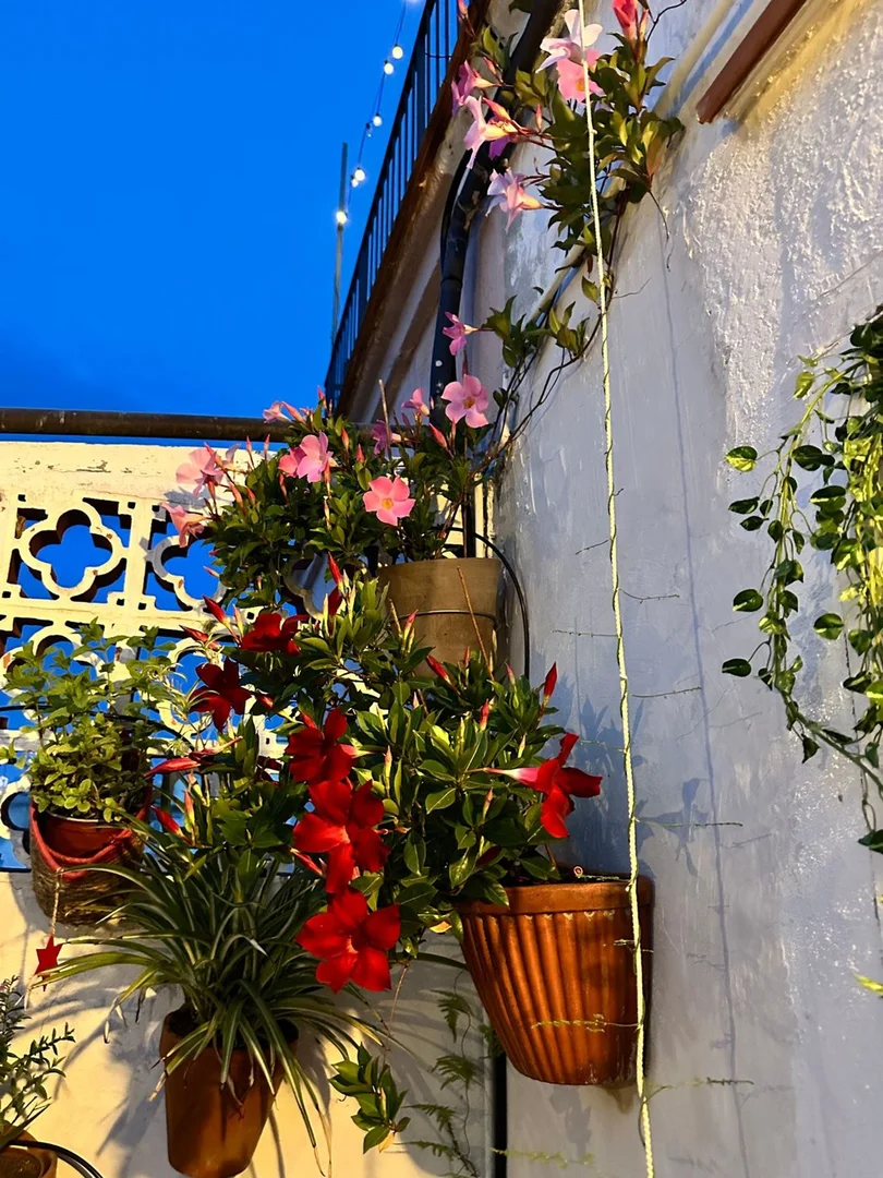 Ático en calle de les Carretes, 44 - Foto 15