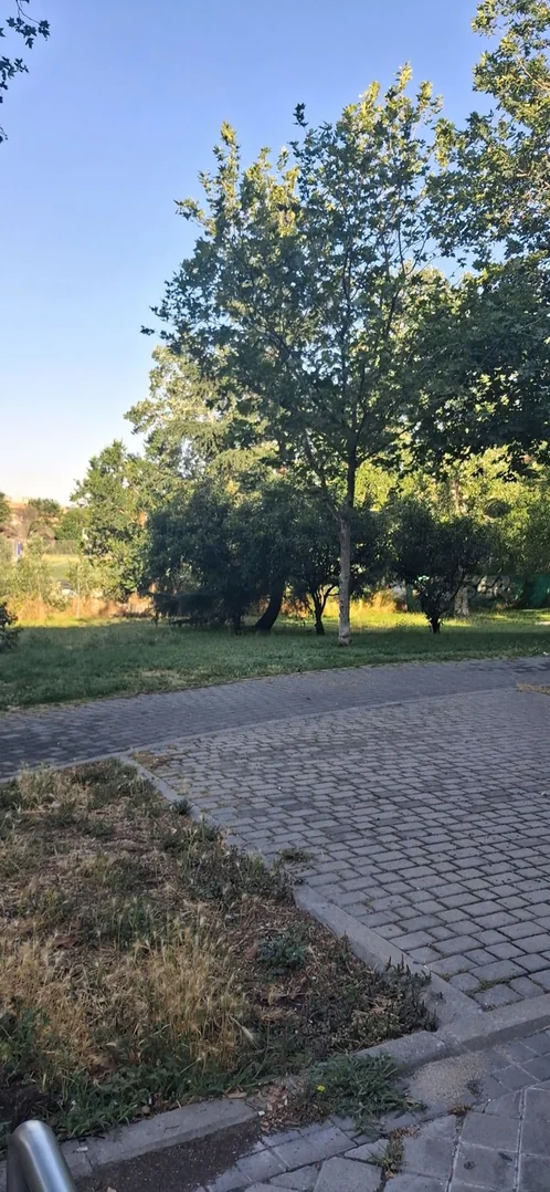Dúplex en Calle del Pico Balaitus, 5 bis - Foto 15
