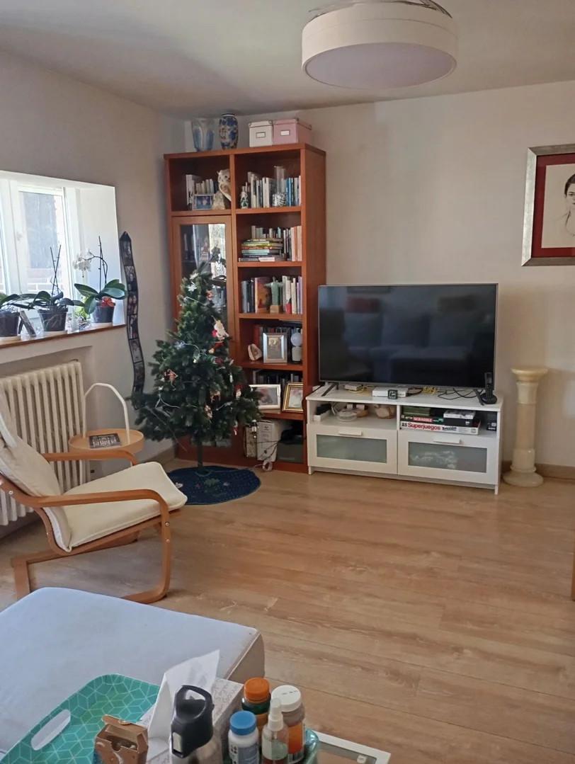 Piso en calle pico de los artilleros, 112 - Foto 10