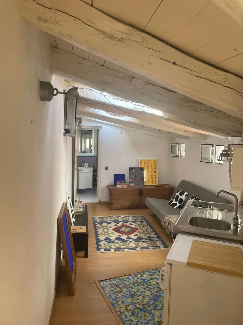 Ático en Plaza de Cascorro, 2, Lavapiés-Embajadores - Foto 36