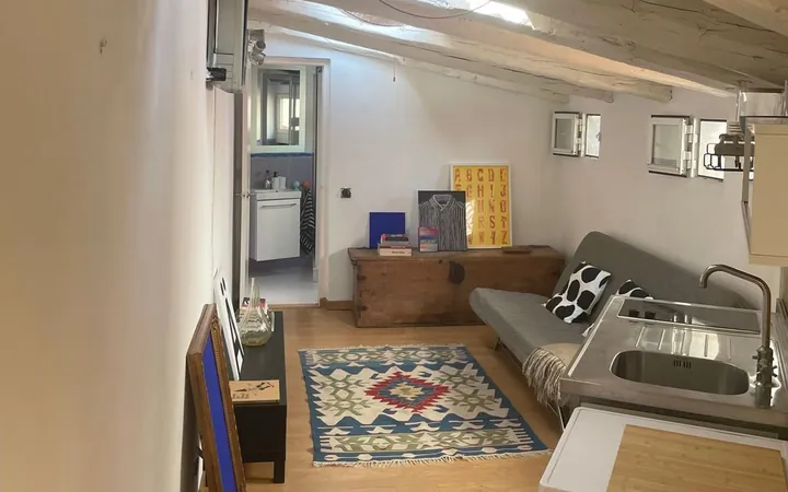 Ático en Plaza de Cascorro, 2, Lavapiés-Embajadores - Foto 36