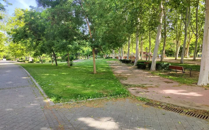 Piso en Avenida de Valladolid, Casa de Campo - Foto 22