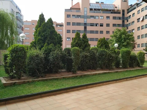 Piso en avenida del Camino de Santiago, 33 - Foto 4