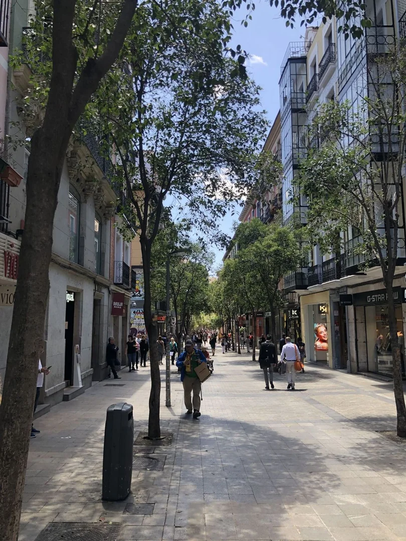 Estudio en Calle de Fuencarral, 33, Trafalgar - Foto 11
