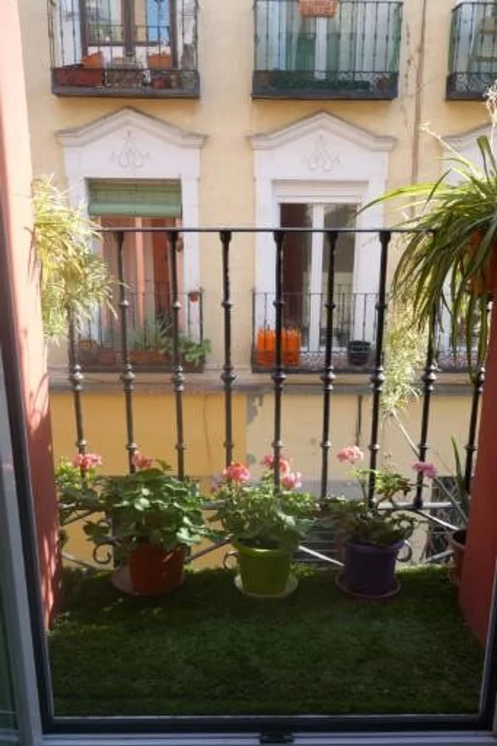 Estudio en Calle Salitre, 54, Lavapiés-Embajadores - Foto 12