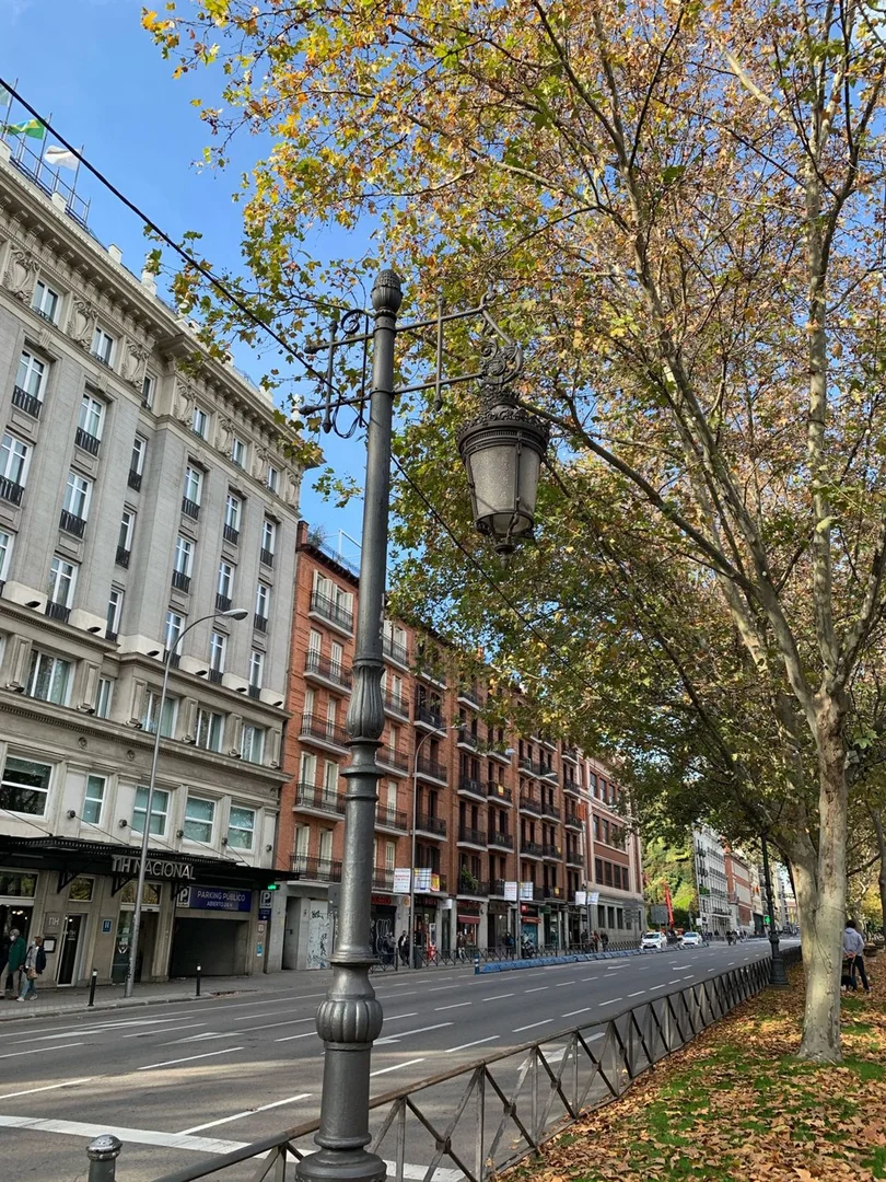 Piso en paseo del Prado, 42 - Foto 37