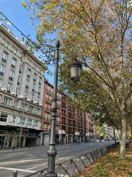 Piso en paseo del Prado, 42 - Foto 37