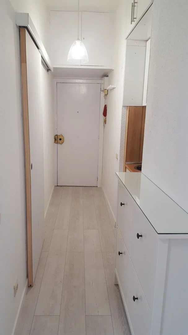 Estudio en Calle del Doctor Esquerdo, 160, Pacífico - Foto 14