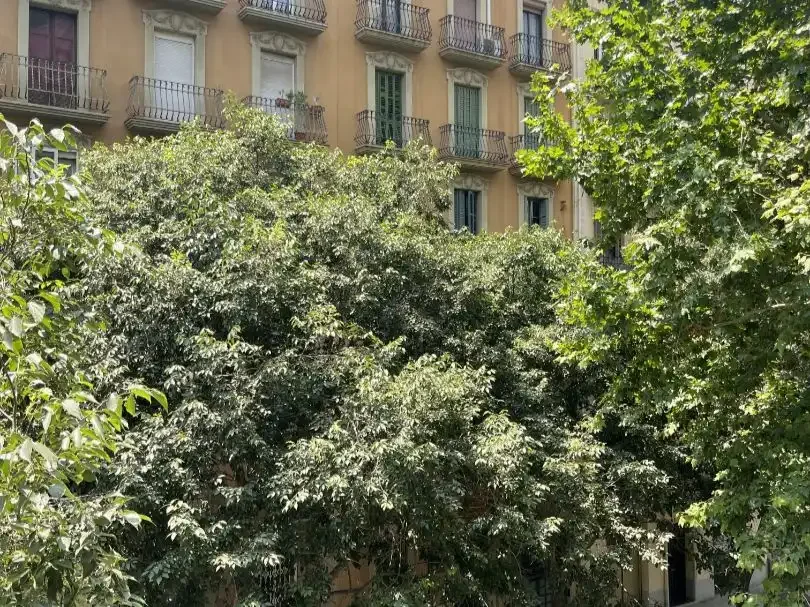 Piso en  Carrer de Rocafort 142 - Foto 35