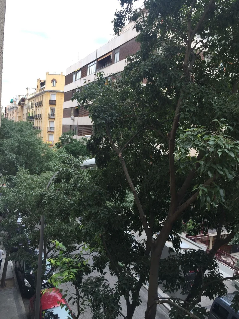 Piso en calle de Andres Mellado, 36 - Foto 1