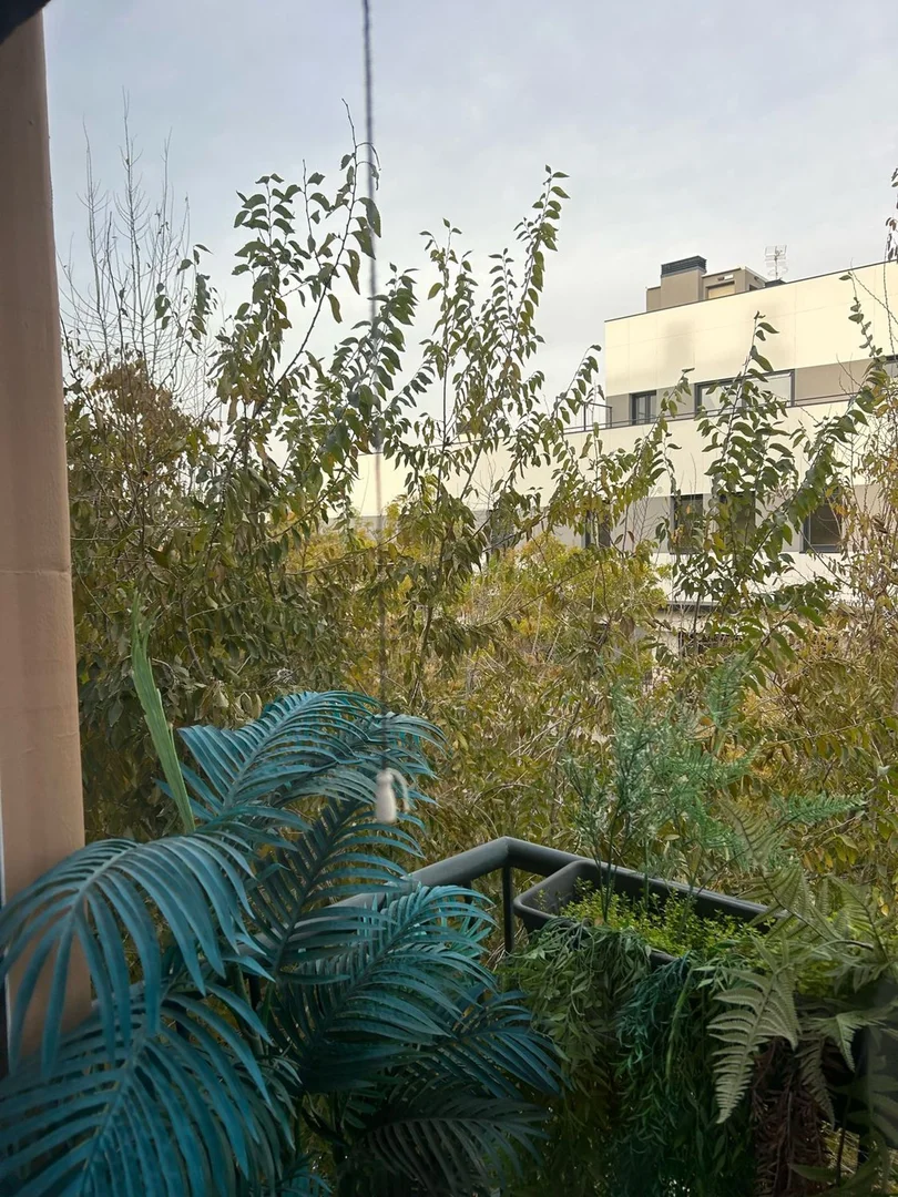 Piso en calle Hermanos de Pablo, 31 - Foto 8