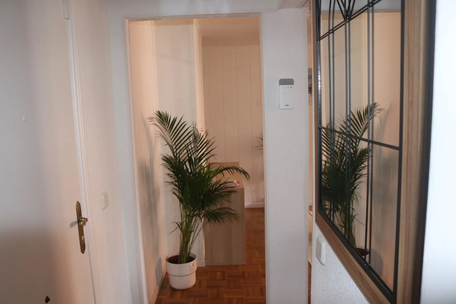 Piso en calle de la Palmera, 2 - Foto 4