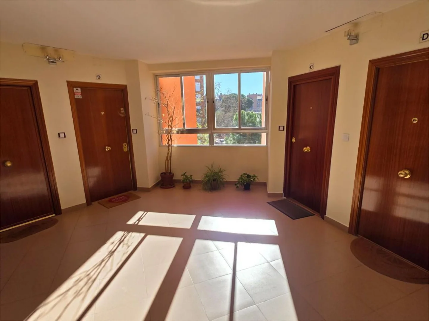 Piso en  Calle Ocho 5 - Foto 8