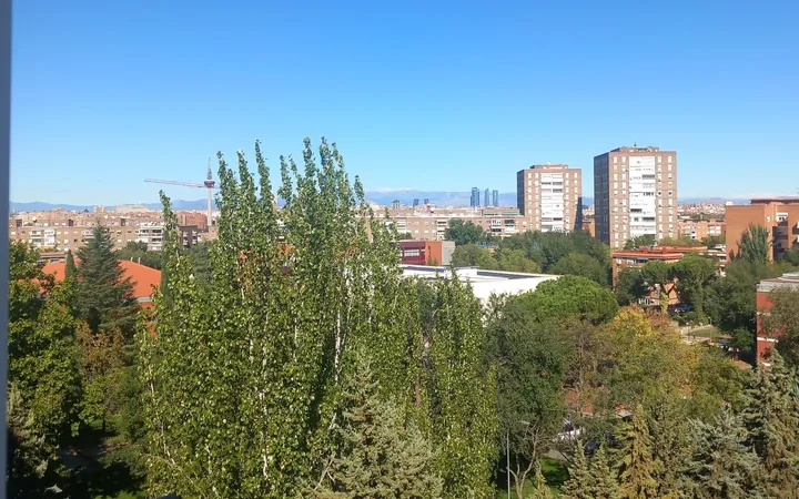 Piso en Calle de la Cañada, 27, Vinateros - Foto 17