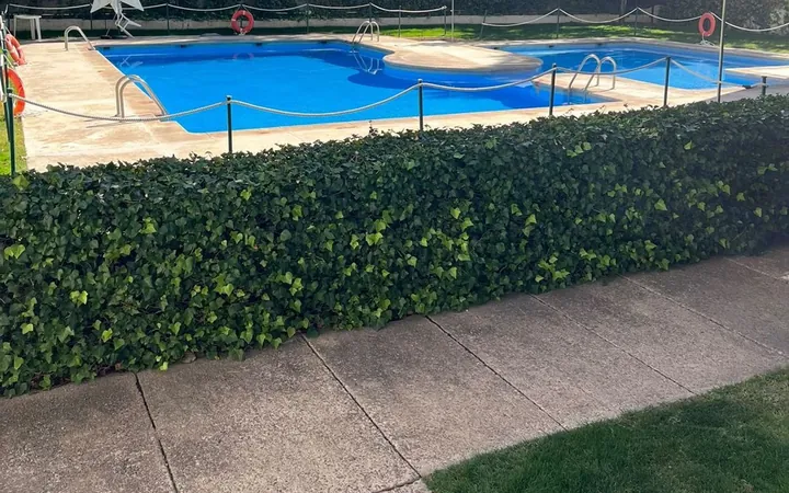 Piso en Calle de Agastia, 74, San Juan Bautista - Foto 7