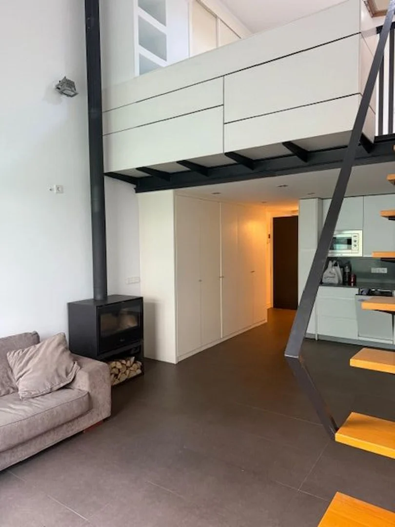 Estudio en calle de Tracia, 12 - Foto 1