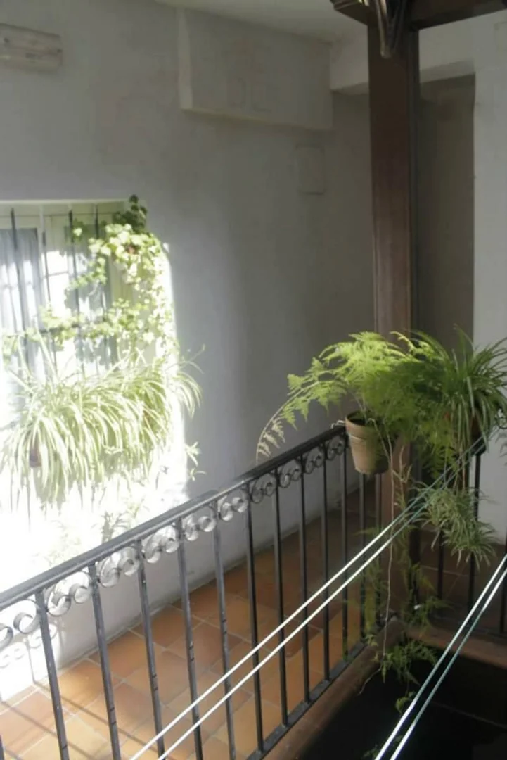 Piso en Calle Salitre, 27, Lavapiés-Embajadores - Foto 19