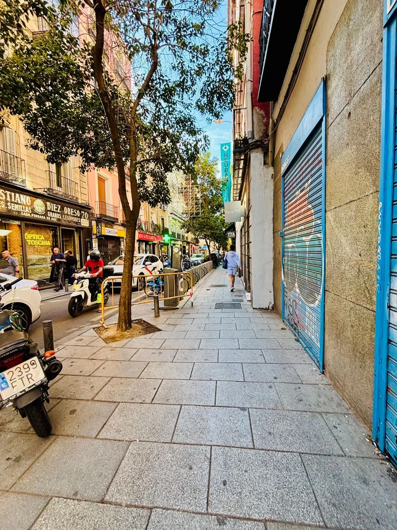Piso en Calle de Hernán Cortés, 21, Chueca-Justicia - Foto 22