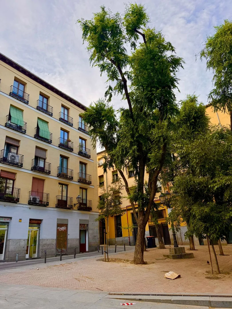 Estudio en Calle de Embajadores, 31, Lavapiés-Embajadores - Foto 20