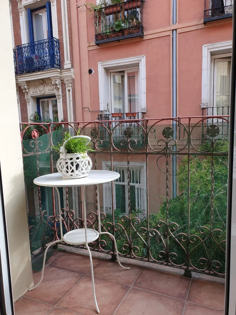 Piso en calle de San Carlos, 13 - Foto 2