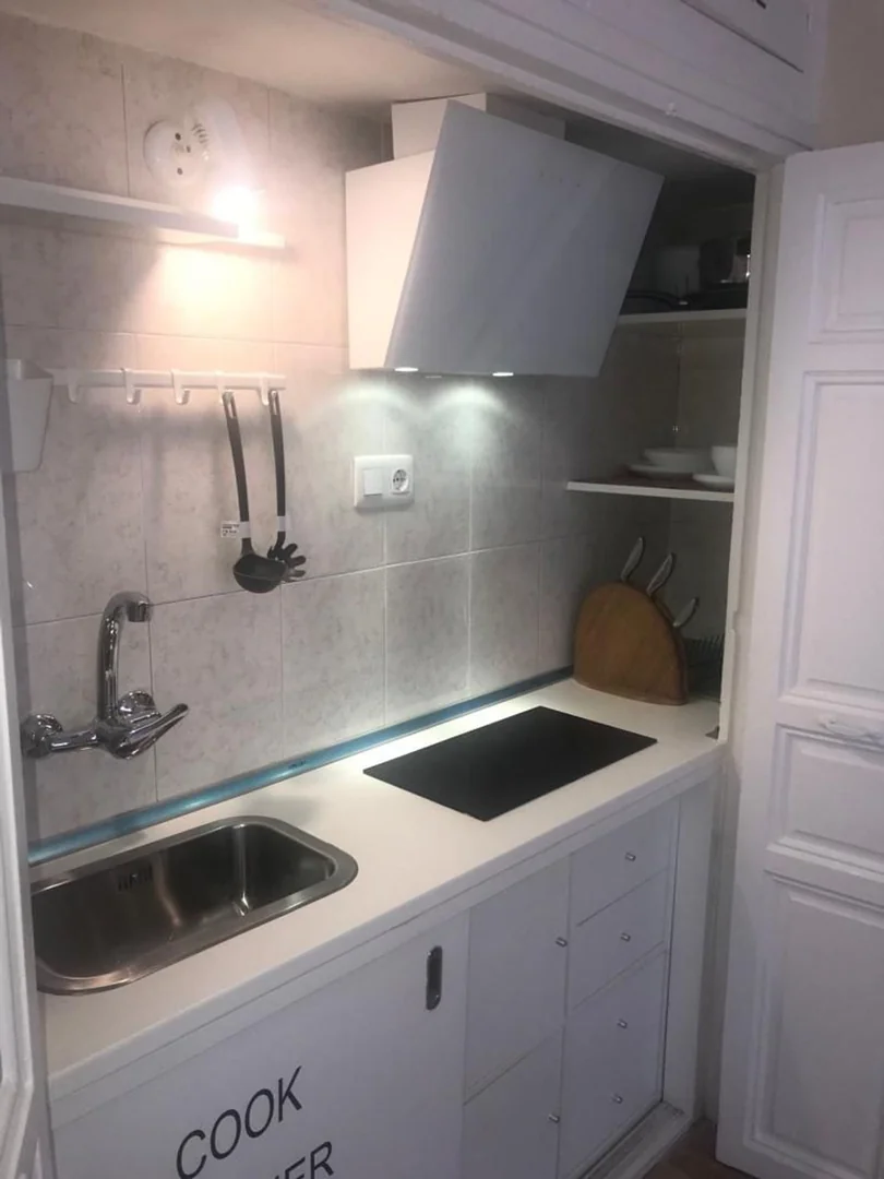 Estudio en Calle de Sánchez Barcáiztegui, Madrid, 39, Pacífico - Foto 9