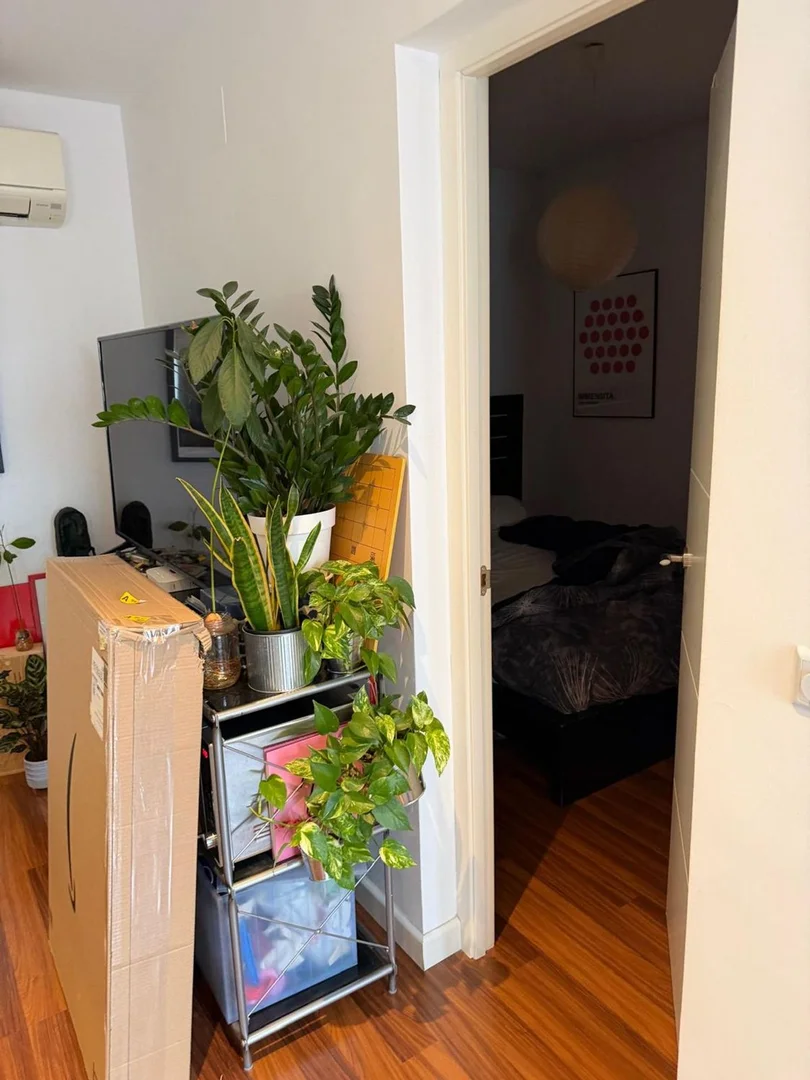 Ático en calle de Fernando el Católico, 54 , 6az - Foto 6