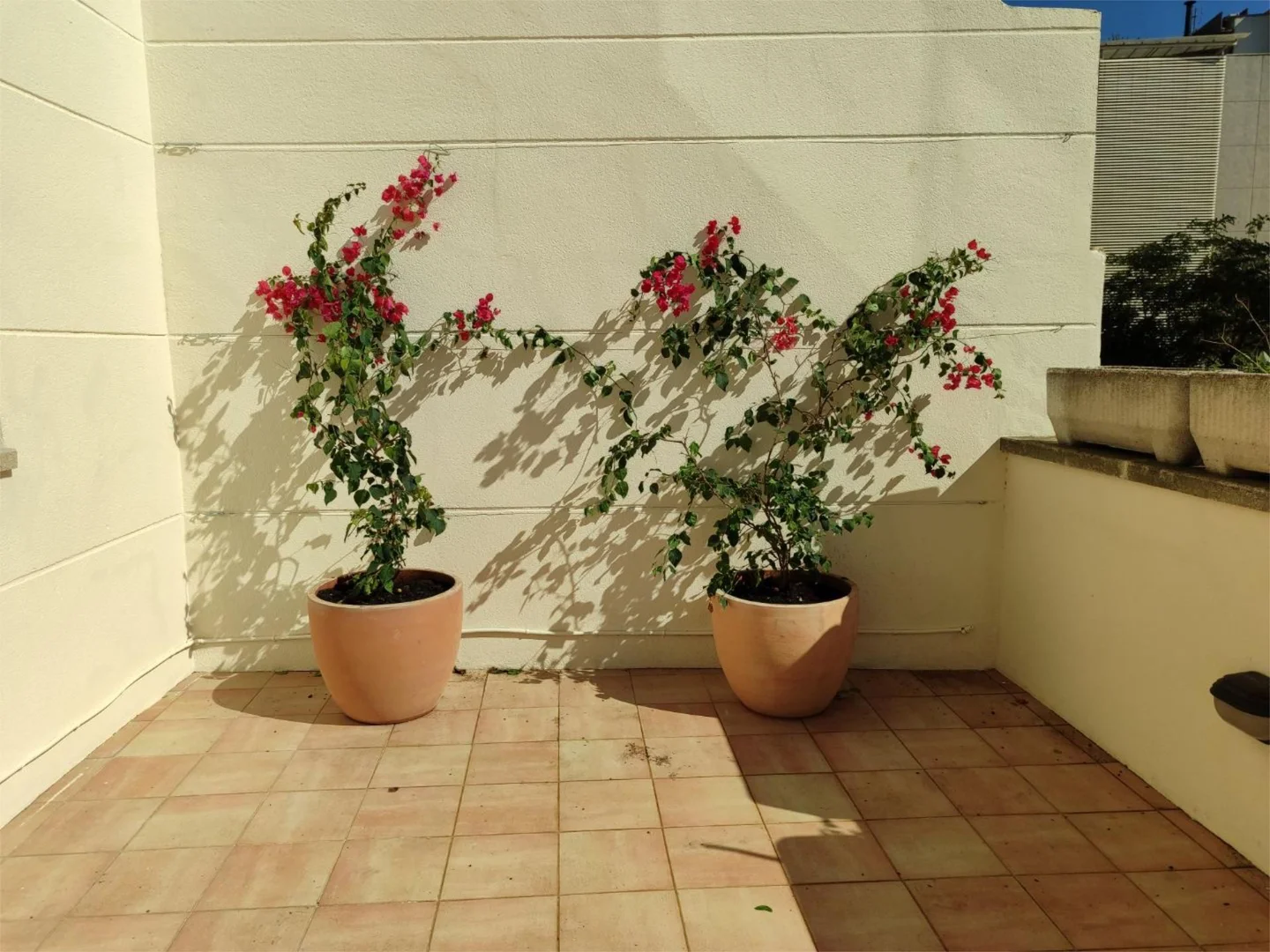 Piso en  Barcelona Capital - Foto 14