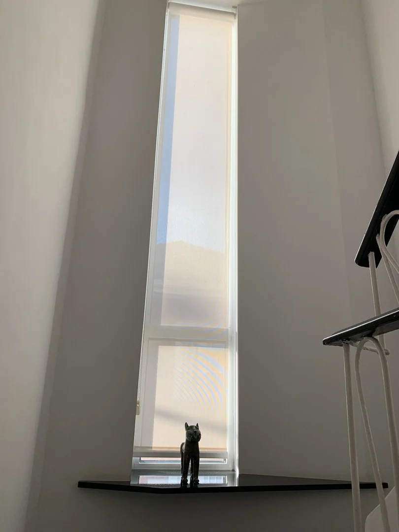 Casa independiente - Foto 7