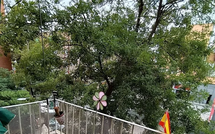 Piso en Calle de Castrojeriz, 12, Vista Alegre - Foto 3