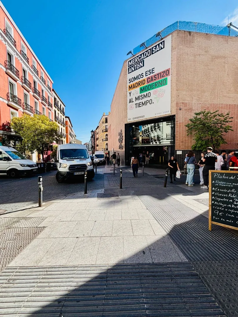 Piso en Calle de Hernán Cortés, 21, Chueca-Justicia - Foto 20