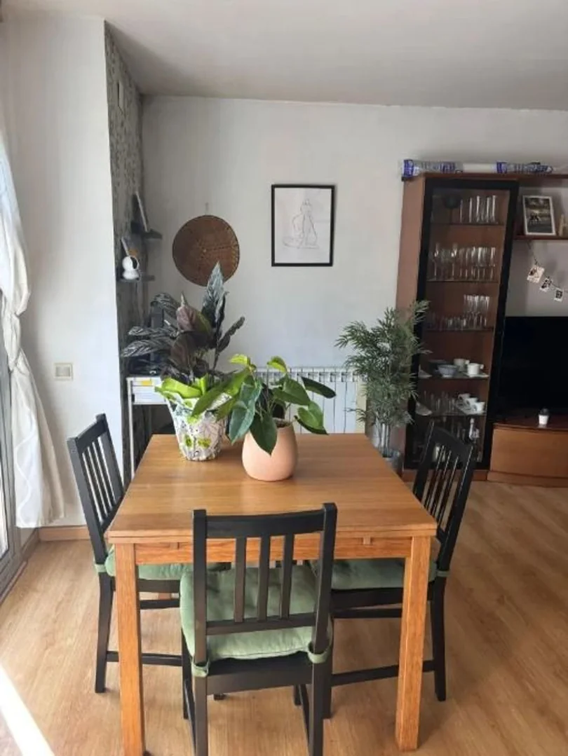 Estudio en Avenida de Valladolid, 17, Casa de Campo - Foto 5