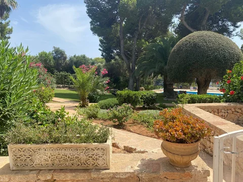 Estudio en Avenida Cala d'Or, 21, Cala d'Or, Cala d'Or - Foto 1