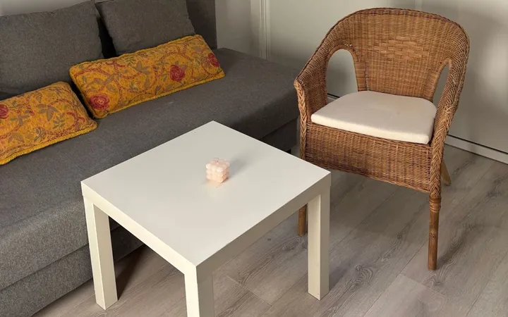 Piso en Calle de Santiago el Verde, 15, Lavapiés-Embajadores - Foto 8