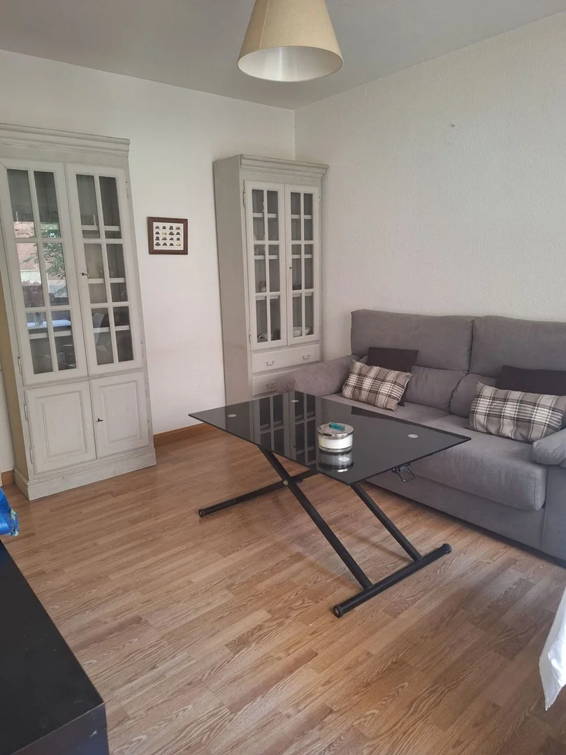 Piso en Calle Potosí, 2, Bernabéu-Hispanoamérica - Foto 24