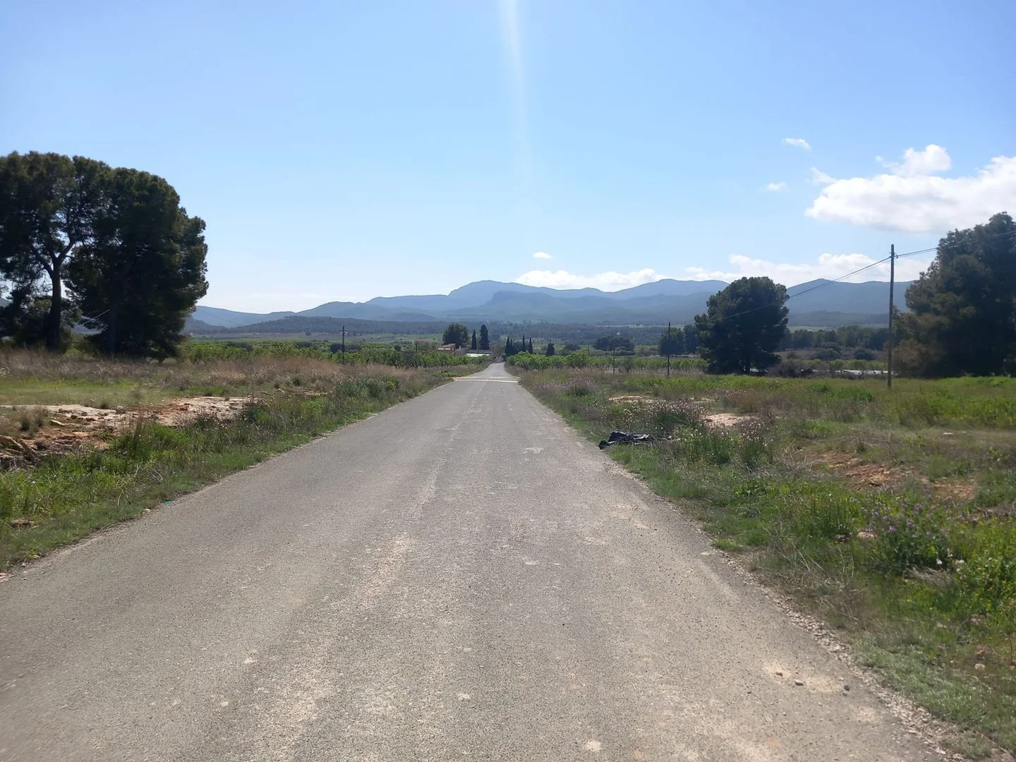 Chalet pareado en N-344, 8 - Foto 14