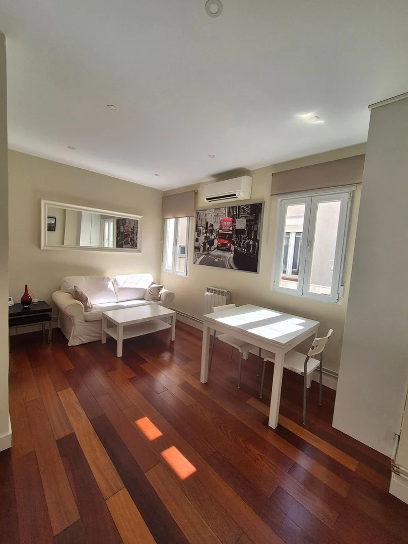 Piso en calle de Hermosilla, 149 - Foto 1