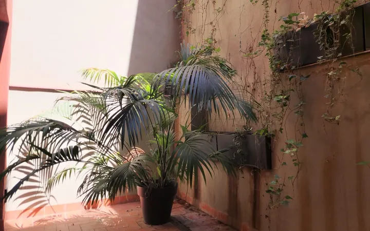 Piso en Calle de l'Escorial, El Camp d'En Grassot i Gràcia Nova - Foto 8