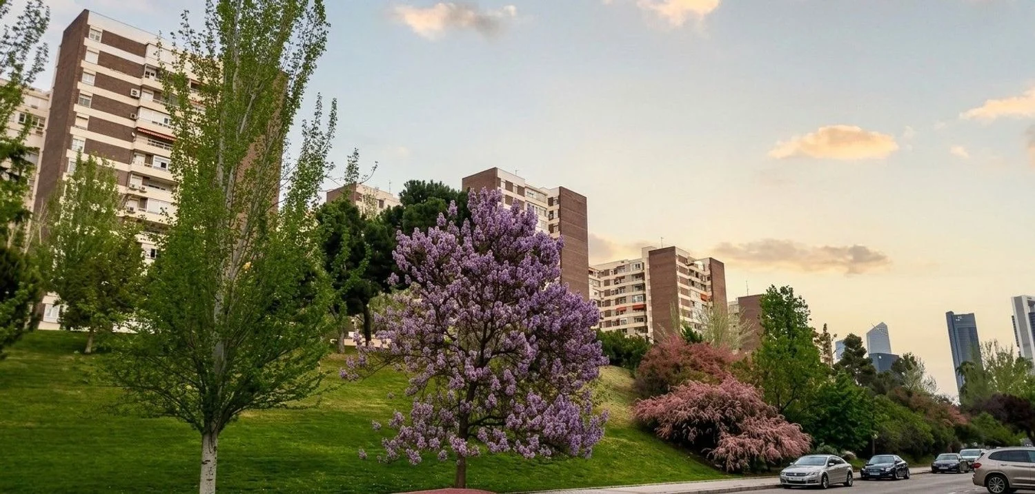 Piso en Barrio Pilar - Foto 14