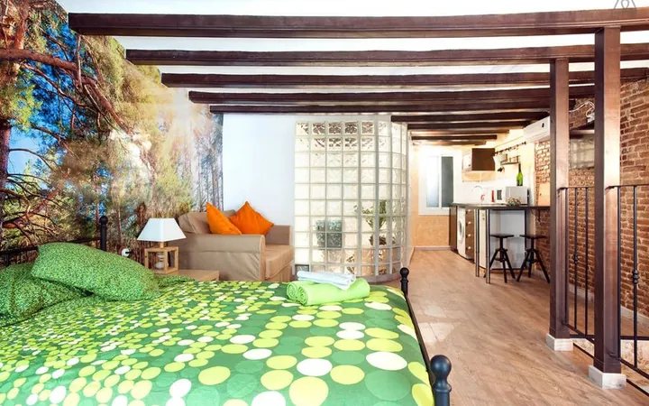 Estudio en Calle de la Reina Amàlia, 35, El Raval - Foto 9