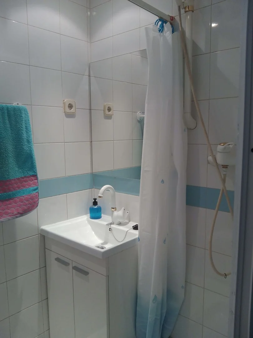 Ático en Calle de Zurita, 33, Lavapiés-Embajadores - Foto 9