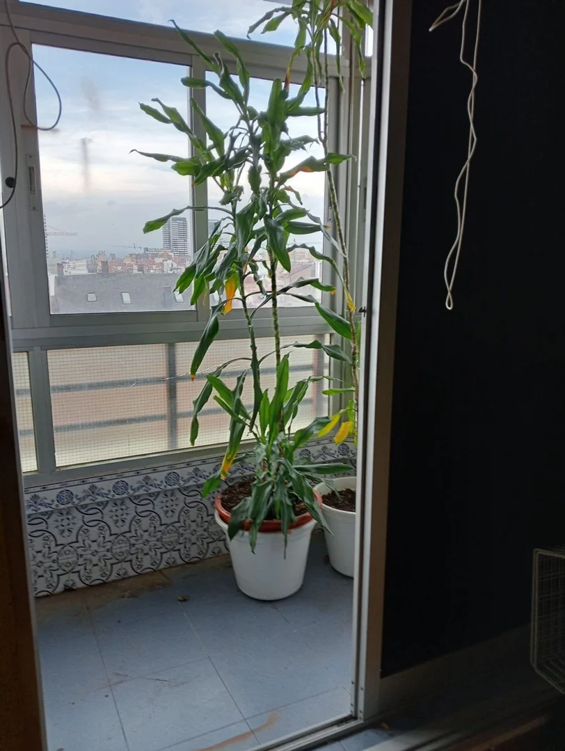 Piso en calle del Marqués de Viana, 12 - Foto 6