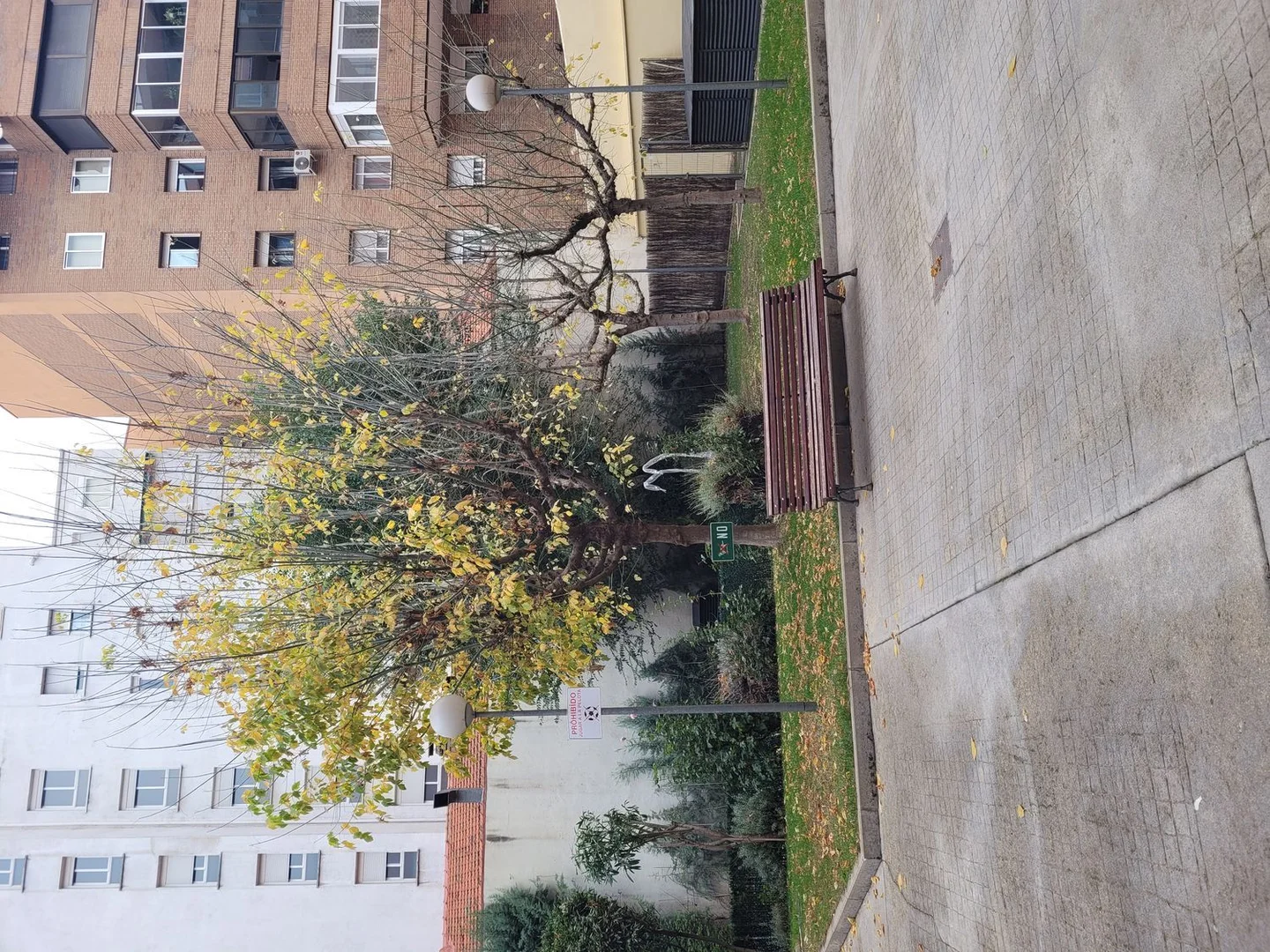 Piso en paseo de los Olmos, 12 - Foto 15