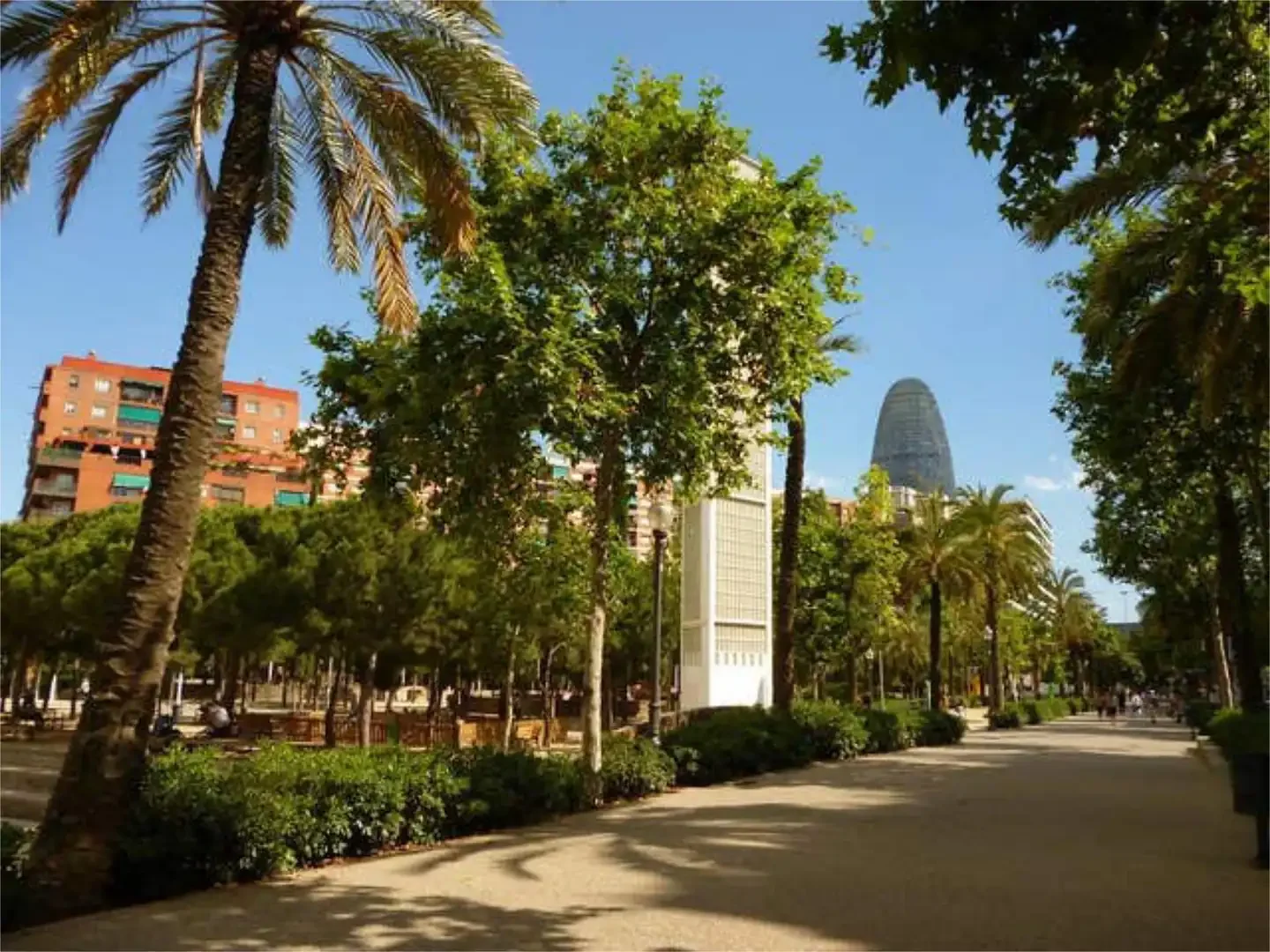 Local comercial en Clot - Foto 8