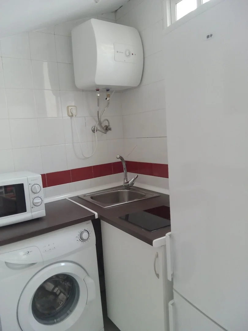 Ático en Calle de Zurita, 33, Lavapiés-Embajadores - Foto 8