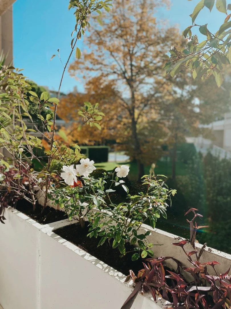 Piso en avenida de Europa, 31 - Foto 19