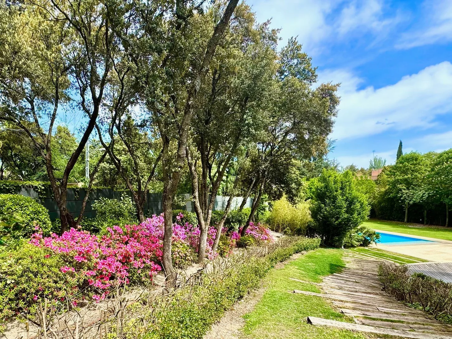 Casa o chalet independiente en El Plantío - Foto 35