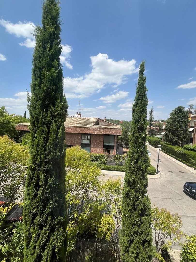 Piso en Calle de la Fuente del Romero, 16, Aravaca - Foto 7